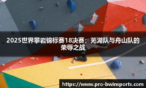 2025世界攀岩锦标赛18决赛：芜湖队与舟山队的荣辱之战